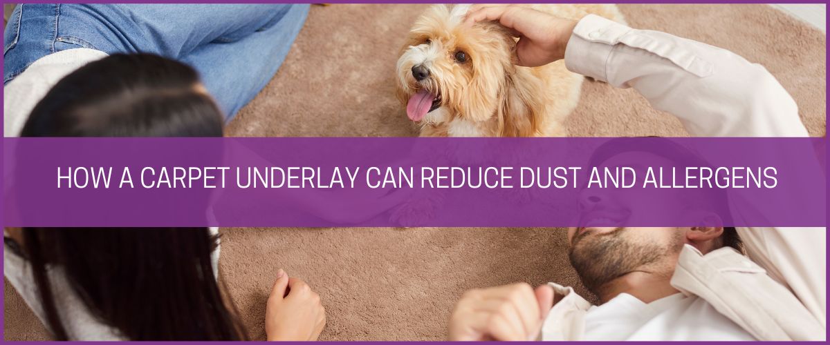 How a carpet underlay can reduce dust and allergens