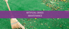 Artificial grass maintenance