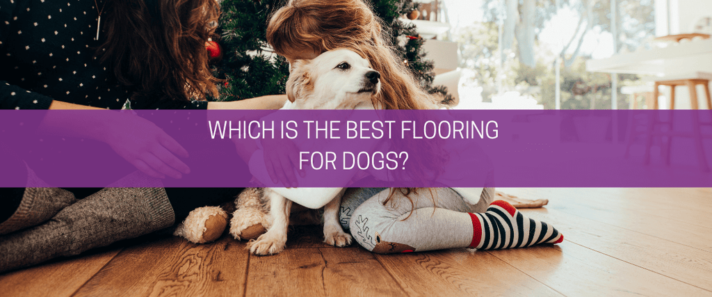 Which is the best flooring for dogs?