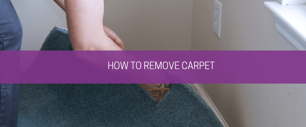 https://www.carpet-underlay-shop.co.uk/cdn/shop/articles/how_to_remove_carpet_1_1024x1024.png?v=1679998344