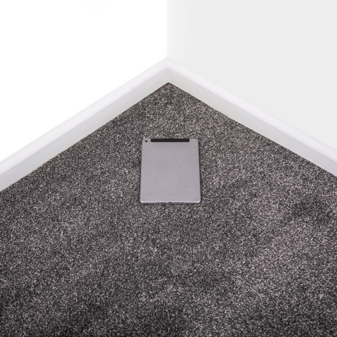 Grey Frost Shade Saxony Carpet