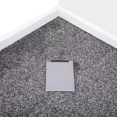 Grey Graphite Shade Saxony Carpet